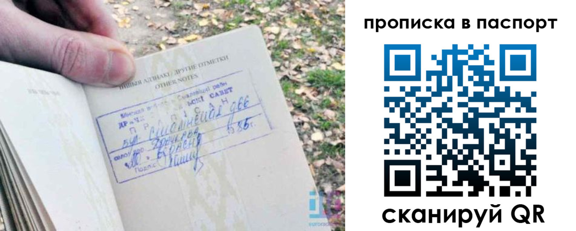 купить прописку в Мурманске